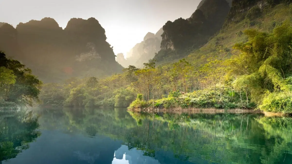高性能高性能高质量